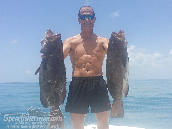 July 4-12, 2014 - Great weather, gnarly Bullsharks and greedy Goliaths