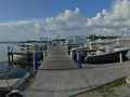 img 20260717