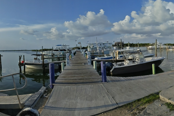 img 20260717