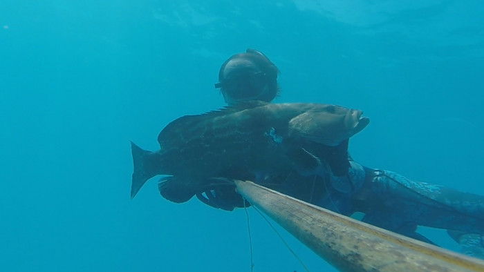 GrouperOpening2017 1