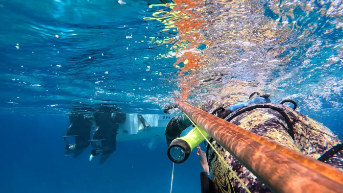 Nice Mutton - End of the Winter Skunk - March 2024