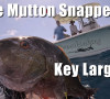 huge personal best key largo huge personal best key largo