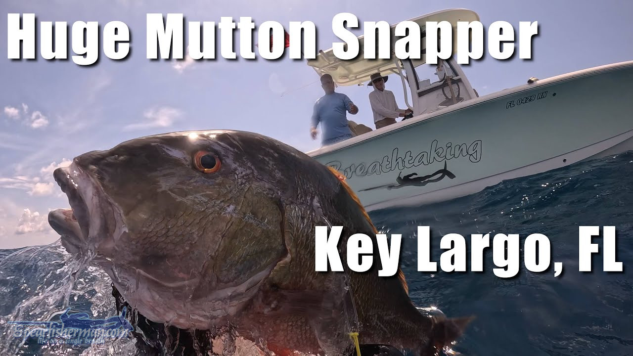 huge personal best key largo