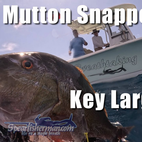 huge personal best key largo huge personal best key largo