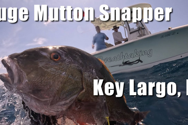 huge personal best key largo huge personal best key largo