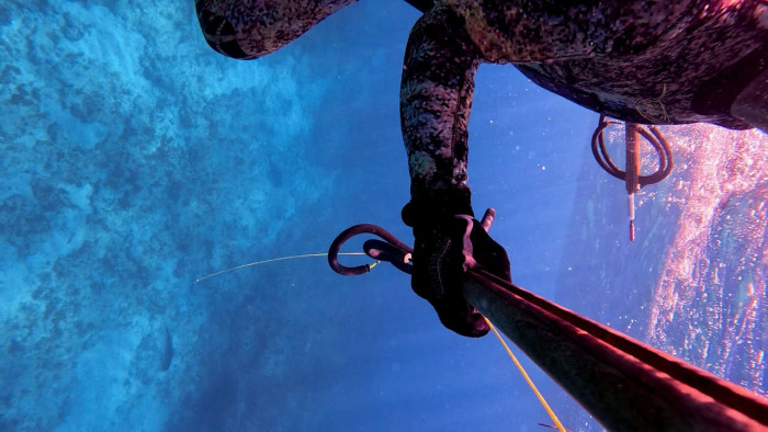 shooting and landing a pair of