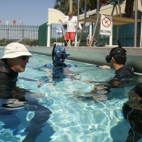 Static apnea exercises in the pool