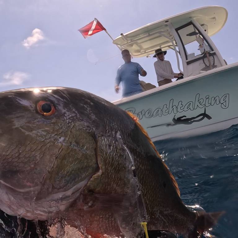 New Video Release - Monster Mutton In Key Largo